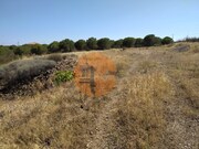 Terreno R�stico - Odeleite, Castro Marim, Faro (Algarve) - Miniatura: 8/9