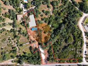 Terreno R�stico - S�o Br�s de Alportel, S�o Br�s de Alportel, Faro (Algarve) - Miniatura: 1/9