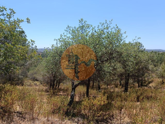 Terreno R�stico - Odeleite, Castro Marim, Faro (Algarve) - Imagem grande