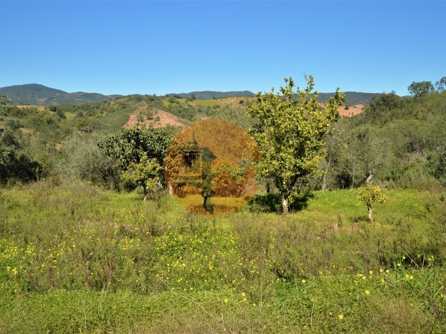 Terreno R�stico - Santa Catarina da Fonte do Bispo, Tavira, Faro (Algarve) - Imagem grande