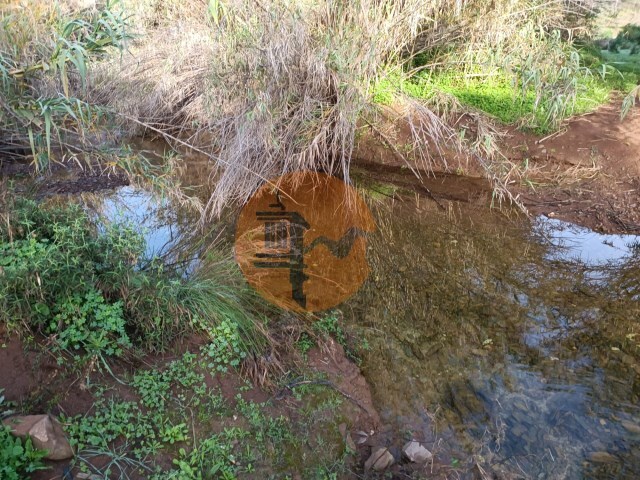 Terreno R�stico - Castro Marim, Castro Marim, Faro (Algarve) - Imagem grande