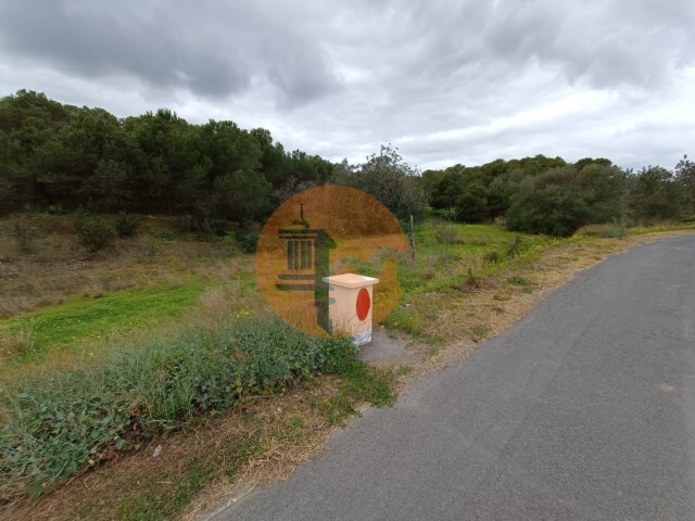Terreno R�stico - Azinhal, Castro Marim, Faro (Algarve) - Imagem grande