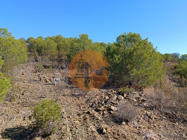 Terreno Urbano - Vaqueiros, Alcoutim, Faro (Algarve) - Imagem grande