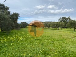 Terreno R�stico - S�o Br�s de Alportel, S�o Br�s de Alportel, Faro (Algarve)