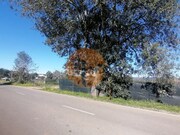 Terreno R�stico - Moncarapacho, Olh�o, Faro (Algarve)