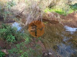 Terreno R�stico - Castro Marim, Castro Marim, Faro (Algarve)