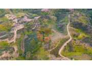 Terreno R�stico - Azinhal, Castro Marim, Faro (Algarve) - Miniatura: 4/9