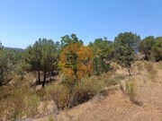 Terreno R�stico - Odeleite, Castro Marim, Faro (Algarve) - Miniatura: 2/9