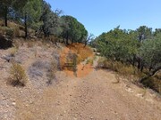 Terreno R�stico - Odeleite, Castro Marim, Faro (Algarve) - Miniatura: 3/9