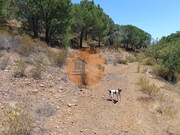 Terreno R�stico - Odeleite, Castro Marim, Faro (Algarve) - Miniatura: 4/9