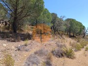 Terreno R�stico - Odeleite, Castro Marim, Faro (Algarve) - Miniatura: 5/9