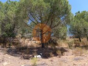 Terreno R�stico - Odeleite, Castro Marim, Faro (Algarve) - Miniatura: 6/9
