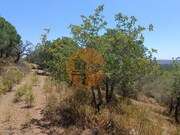 Terreno R�stico - Odeleite, Castro Marim, Faro (Algarve) - Miniatura: 9/9