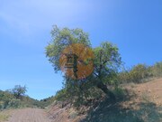 Terreno R�stico - Azinhal, Castro Marim, Faro (Algarve) - Miniatura: 2/9