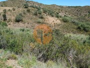 Terreno R�stico - Azinhal, Castro Marim, Faro (Algarve) - Miniatura: 3/9