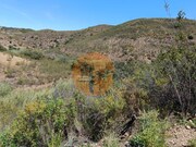 Terreno R�stico - Azinhal, Castro Marim, Faro (Algarve) - Miniatura: 6/9