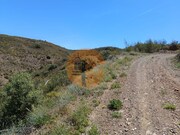 Terreno R�stico - Azinhal, Castro Marim, Faro (Algarve) - Miniatura: 9/9