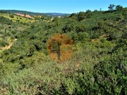 Terreno R�stico - Santa Catarina da Fonte do Bispo, Tavira, Faro (Algarve) - Miniatura: 5/9