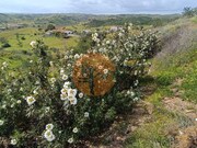 Terreno R�stico - Castro Marim, Castro Marim, Faro (Algarve) - Miniatura: 3/9