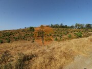 Terreno Urbano - So Clemente, Loul, Faro (Algarve) - Miniatura: 5/9