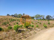 Terreno Urbano - So Clemente, Loul, Faro (Algarve) - Miniatura: 7/9