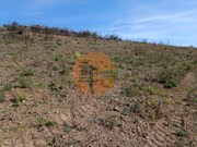 Terreno Rstico - Azinhal, Castro Marim, Faro (Algarve) - Miniatura: 4/9