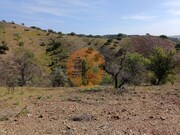 Terreno Rstico - Azinhal, Castro Marim, Faro (Algarve) - Miniatura: 5/9