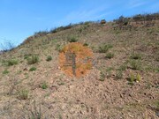 Terreno Rstico - Azinhal, Castro Marim, Faro (Algarve) - Miniatura: 6/9