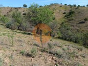 Terreno Rstico - Azinhal, Castro Marim, Faro (Algarve) - Miniatura: 7/9