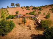 Terreno R�stico - Santa Catarina da Fonte do Bispo, Tavira, Faro (Algarve) - Miniatura: 1/9