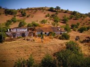 Terreno R�stico - Santa Catarina da Fonte do Bispo, Tavira, Faro (Algarve) - Miniatura: 4/9