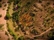 Terreno R�stico - Santa Catarina da Fonte do Bispo, Tavira, Faro (Algarve) - Miniatura: 7/9
