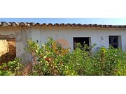 Terreno R�stico - Santa Catarina da Fonte do Bispo, Tavira, Faro (Algarve) - Miniatura: 8/9