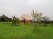 Terreno Urbano - Luz de Tavira, Tavira, Faro (Algarve) - Miniatura: 5/9