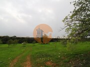 Terreno Urbano - Luz de Tavira, Tavira, Faro (Algarve) - Miniatura: 8/9