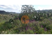 Terreno R�stico - Alcoutim, Alcoutim, Faro (Algarve) - Miniatura: 4/9