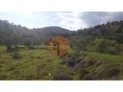 Terreno R�stico - Alcoutim, Alcoutim, Faro (Algarve) - Miniatura: 6/9