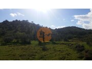 Terreno R�stico - Alcoutim, Alcoutim, Faro (Algarve) - Miniatura: 7/9