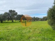Terreno R�stico - S�o Br�s de Alportel, S�o Br�s de Alportel, Faro (Algarve) - Miniatura: 1/9
