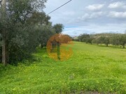 Terreno R�stico - S�o Br�s de Alportel, S�o Br�s de Alportel, Faro (Algarve) - Miniatura: 2/9