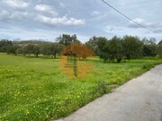 Terreno R�stico - S�o Br�s de Alportel, S�o Br�s de Alportel, Faro (Algarve) - Miniatura: 3/9