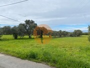 Terreno R�stico - S�o Br�s de Alportel, S�o Br�s de Alportel, Faro (Algarve) - Miniatura: 4/9