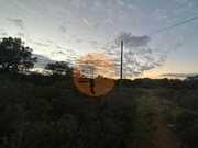 Terreno R�stico - S�o Br�s de Alportel, S�o Br�s de Alportel, Faro (Algarve) - Miniatura: 6/9