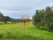 Terreno R�stico - S�o Br�s de Alportel, S�o Br�s de Alportel, Faro (Algarve) - Miniatura: 8/9