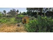 Terreno R�stico - Lagoa, Lagoa (Algarve), Faro (Algarve) - Miniatura: 3/9