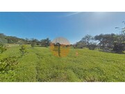 Terreno R�stico - Concei��o, Faro, Faro (Algarve) - Miniatura: 1/9