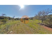 Terreno R�stico - Concei��o, Faro, Faro (Algarve) - Miniatura: 2/9