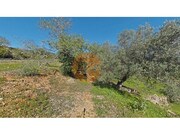 Terreno R�stico - Concei��o, Faro, Faro (Algarve) - Miniatura: 3/9