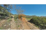 Terreno R�stico - Concei��o, Faro, Faro (Algarve) - Miniatura: 4/9