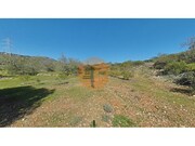 Terreno R�stico - Concei��o, Faro, Faro (Algarve) - Miniatura: 5/9